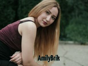 AmilyBrik