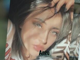 Aneu