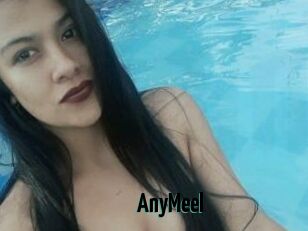AnyMeel