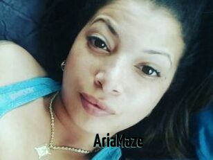 Aria_Maze