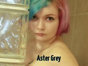 Aster_Grey