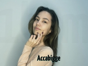 Accabigge