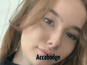 Accabodge