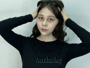 Accaharkey