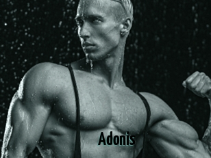 Adonis_