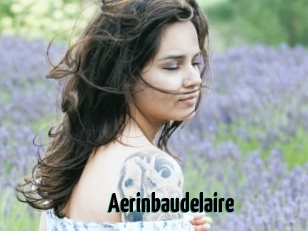 Aerinbaudelaire