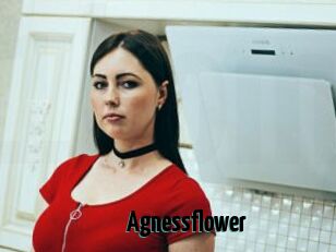 Agnessflower