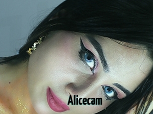 Alicecam