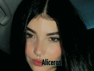 Alicerosi