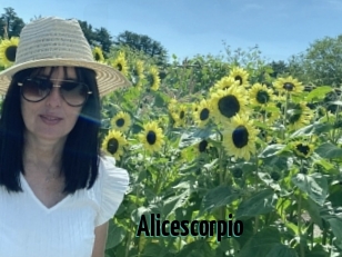 Alicescorpio