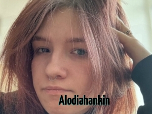 Alodiahankin