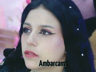 Ambarcams