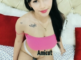 Amicut