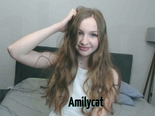 Amilycat