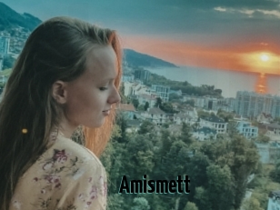 Amismett