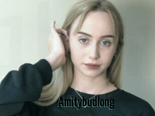Amitybudlong