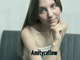 Amitycatlow
