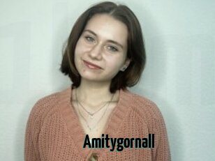Amitygornall