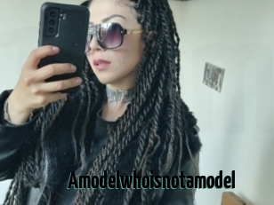 Amodelwhoisnotamodel