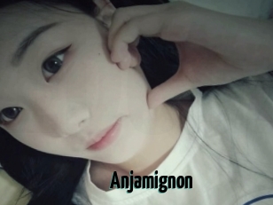Anjamignon
