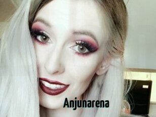 Anjunarena