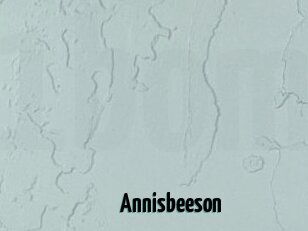 Annisbeeson