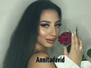 Annitadavid