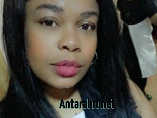 Antarabrunet