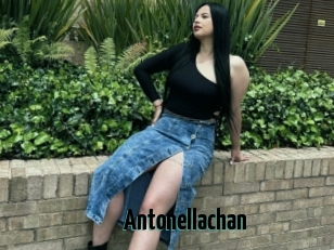 Antonellachan