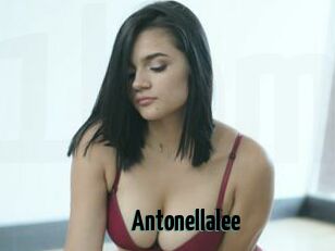 Antonellalee