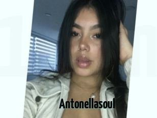 Antonellasoul