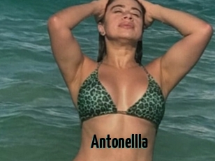 Antonellla