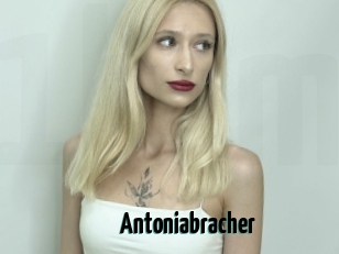 Antoniabracher