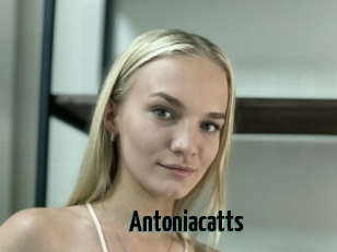Antoniacatts