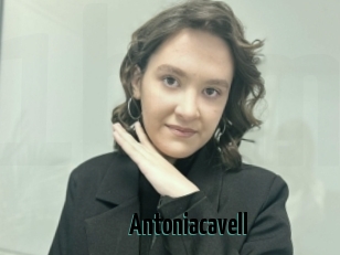 Antoniacavell
