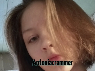 Antoniacrammer