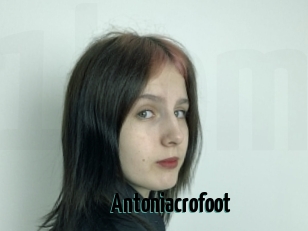 Antoniacrofoot