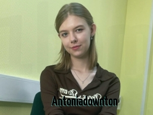 Antoniadownton