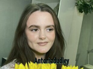Antoniadudley