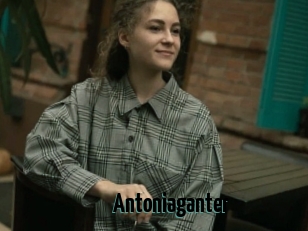 Antoniaganter