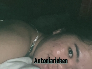 Antoniarieken