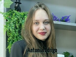 Antoniarodrigo