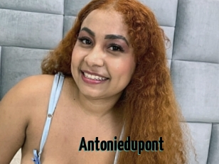 Antoniedupont