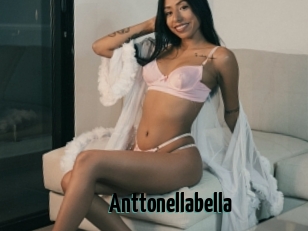 Anttonellabella