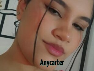 Anycarter