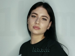 Aracoote