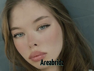 Areabridz