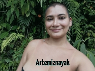 Artemiznayak