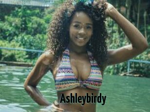 Ashleybirdy