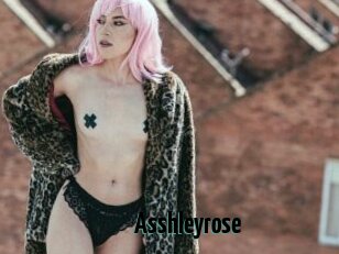 Asshleyrose